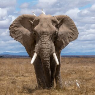Jumbo Frames Was sind Jumbo Frames? VPN-Glossar