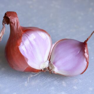Tor (The Onion Router) Was ist Tor (The Onion Router)?